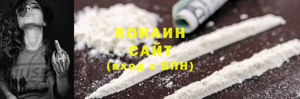 твердый Рославль