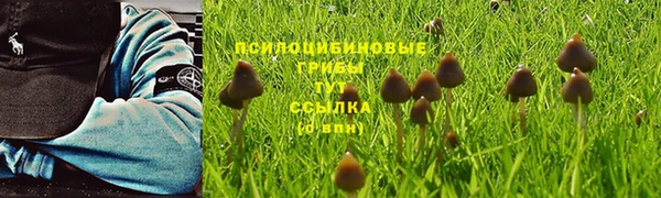 дживик Алексин