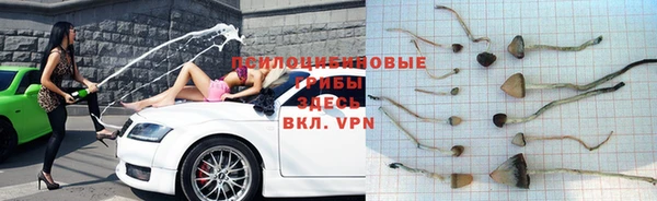 2c-b Алексеевка