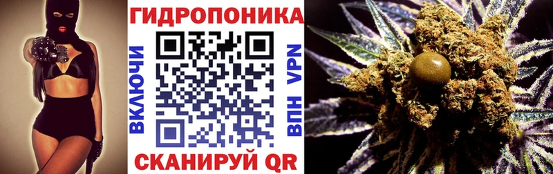 shop клад  как найти   Беломорск  Бошки марихуана семена 